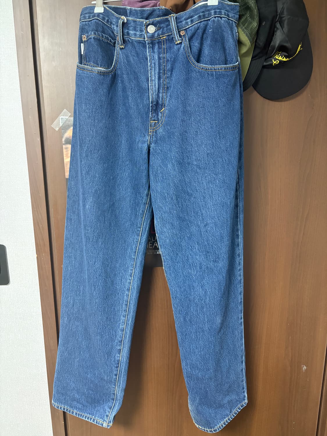 22시즌 디네댓 레귤러진 L 상품이미지3