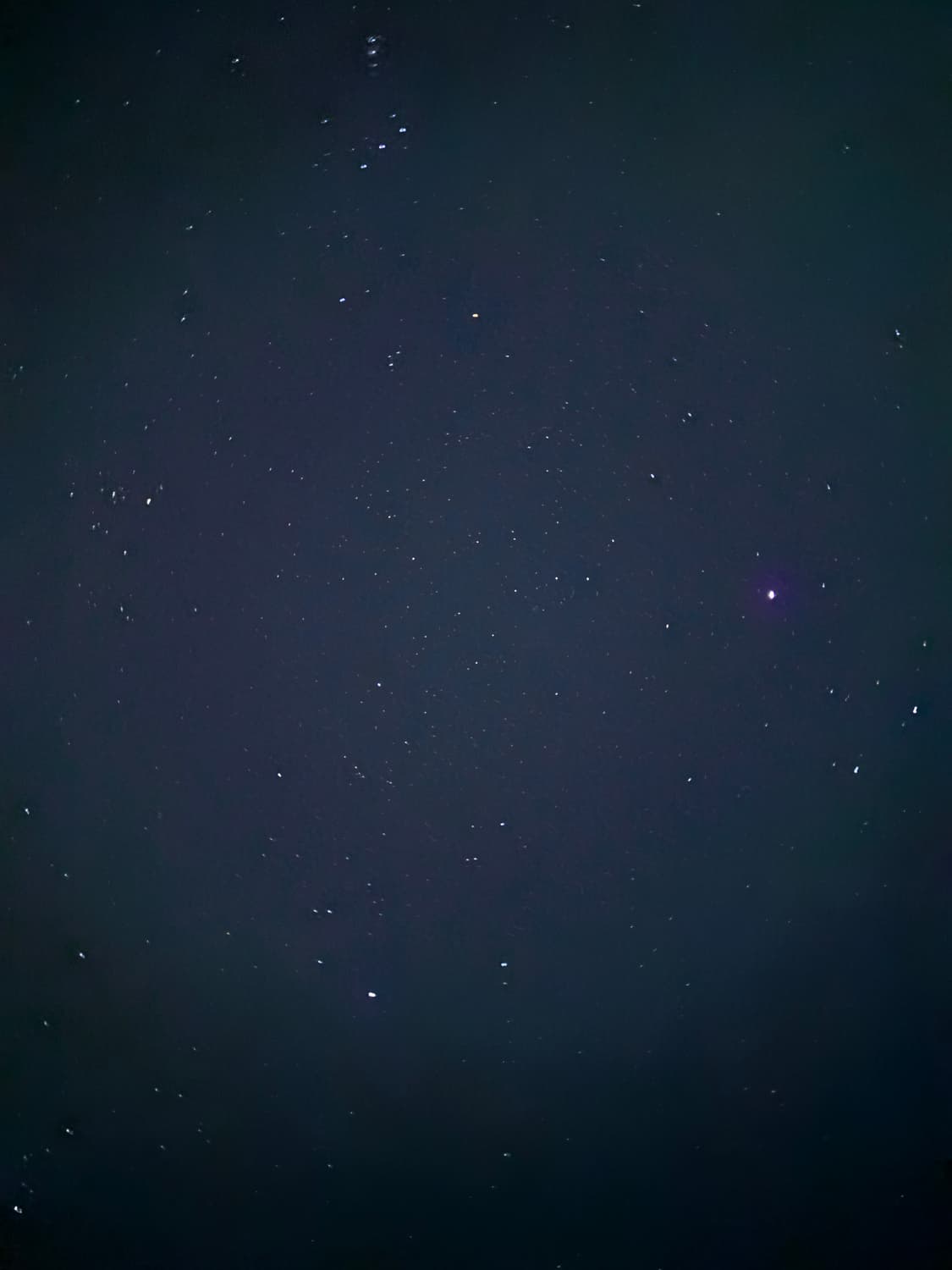 수레레 판매용 상품이미지1