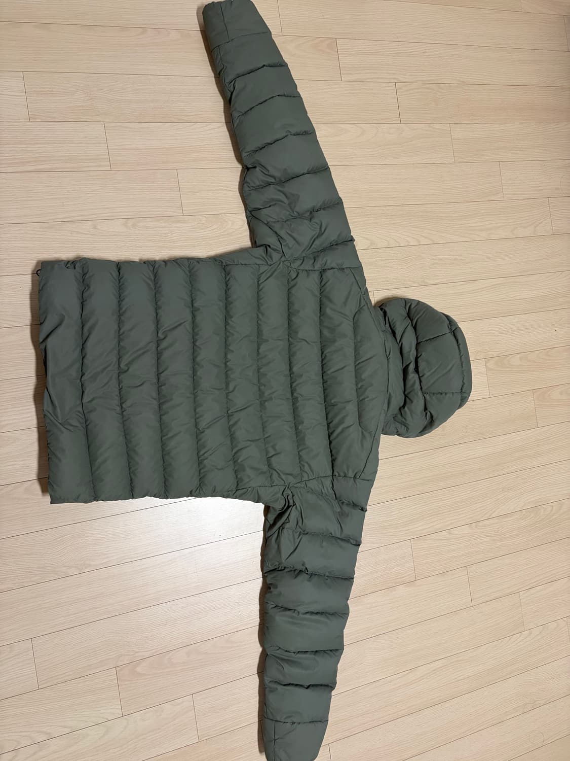 아크테릭스 토륨 포리지s 상품이미지2