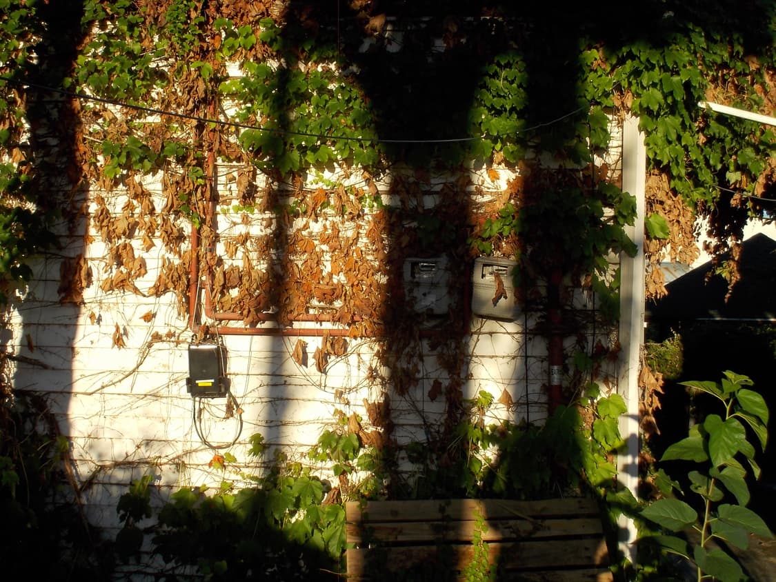 (한글판) 니콘 쿨픽스 S01 실버 디지털 카메라 판매합니다! 상품이미지2