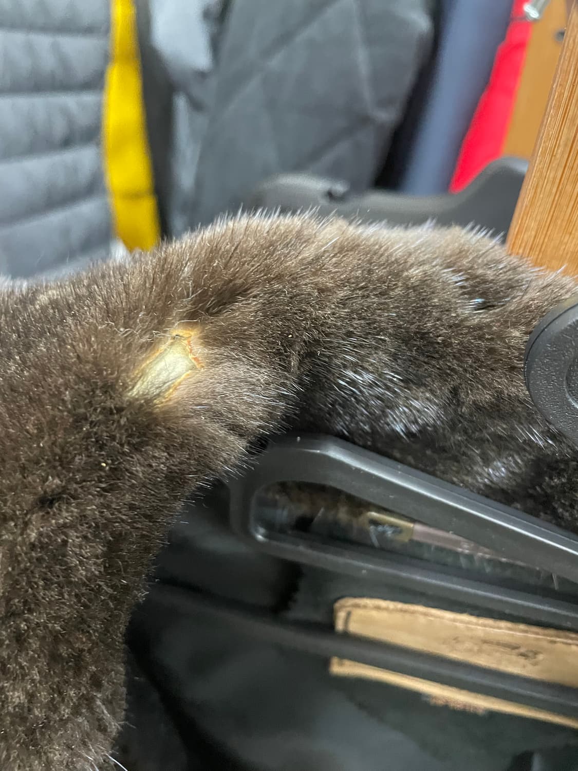 진도무스탕 가죽은깨끗 털하자  상품이미지3