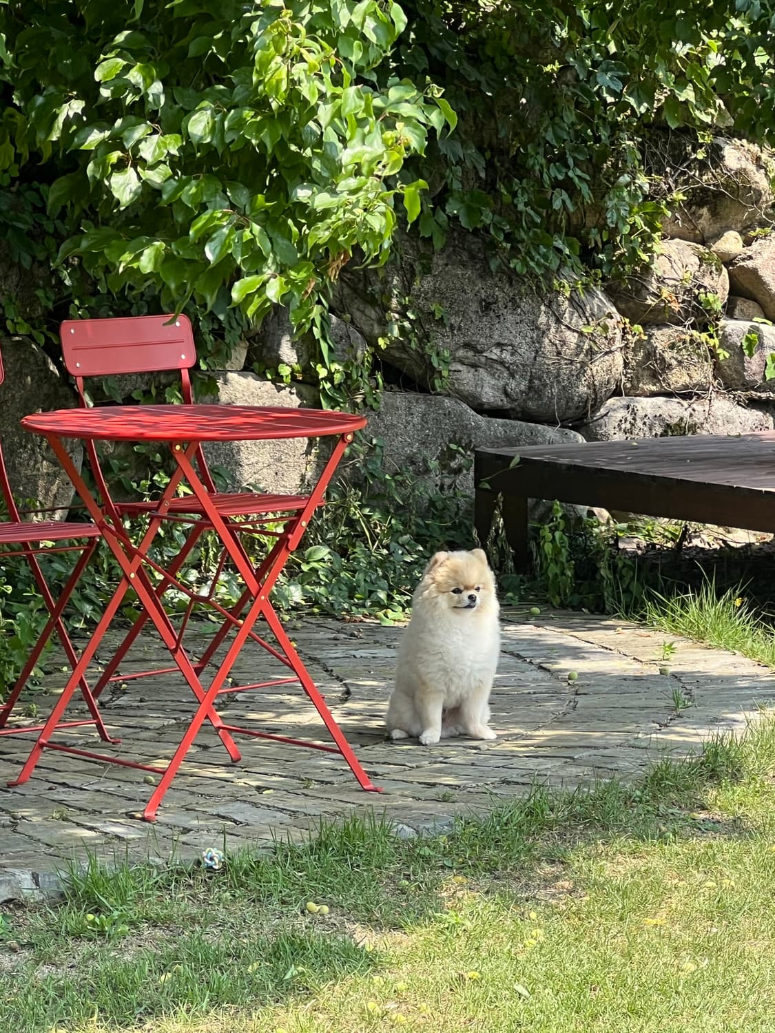 ALL 30% OFF📛 상품이미지1