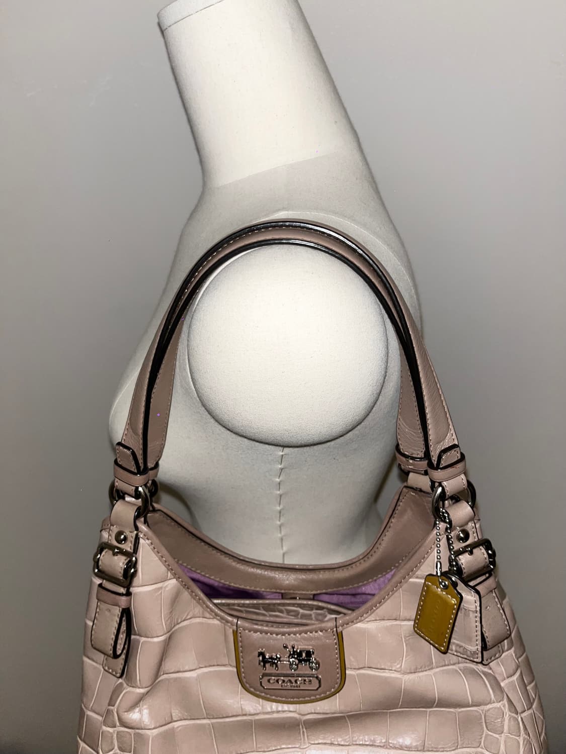 📦 Coach alligator skin Shoulder Bag 상품이미지6