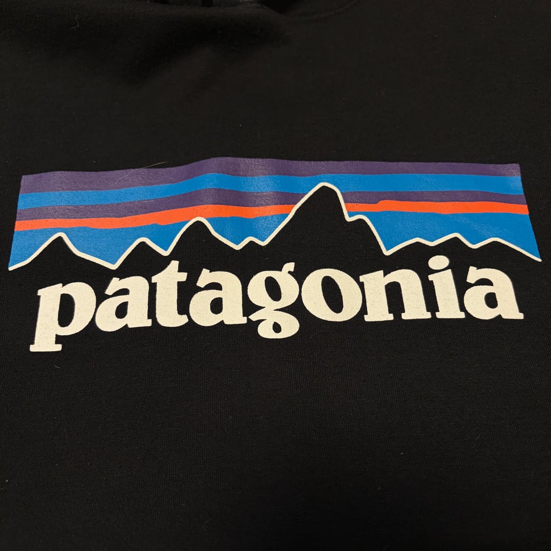 파타고니아 빅로고 기모 후드티 상품이미지3