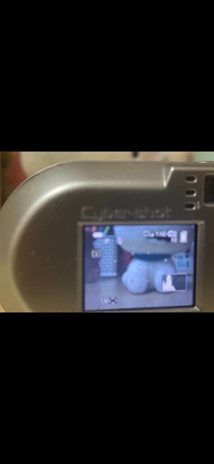 소니 사이버샷 DSC-P73 상품이미지5