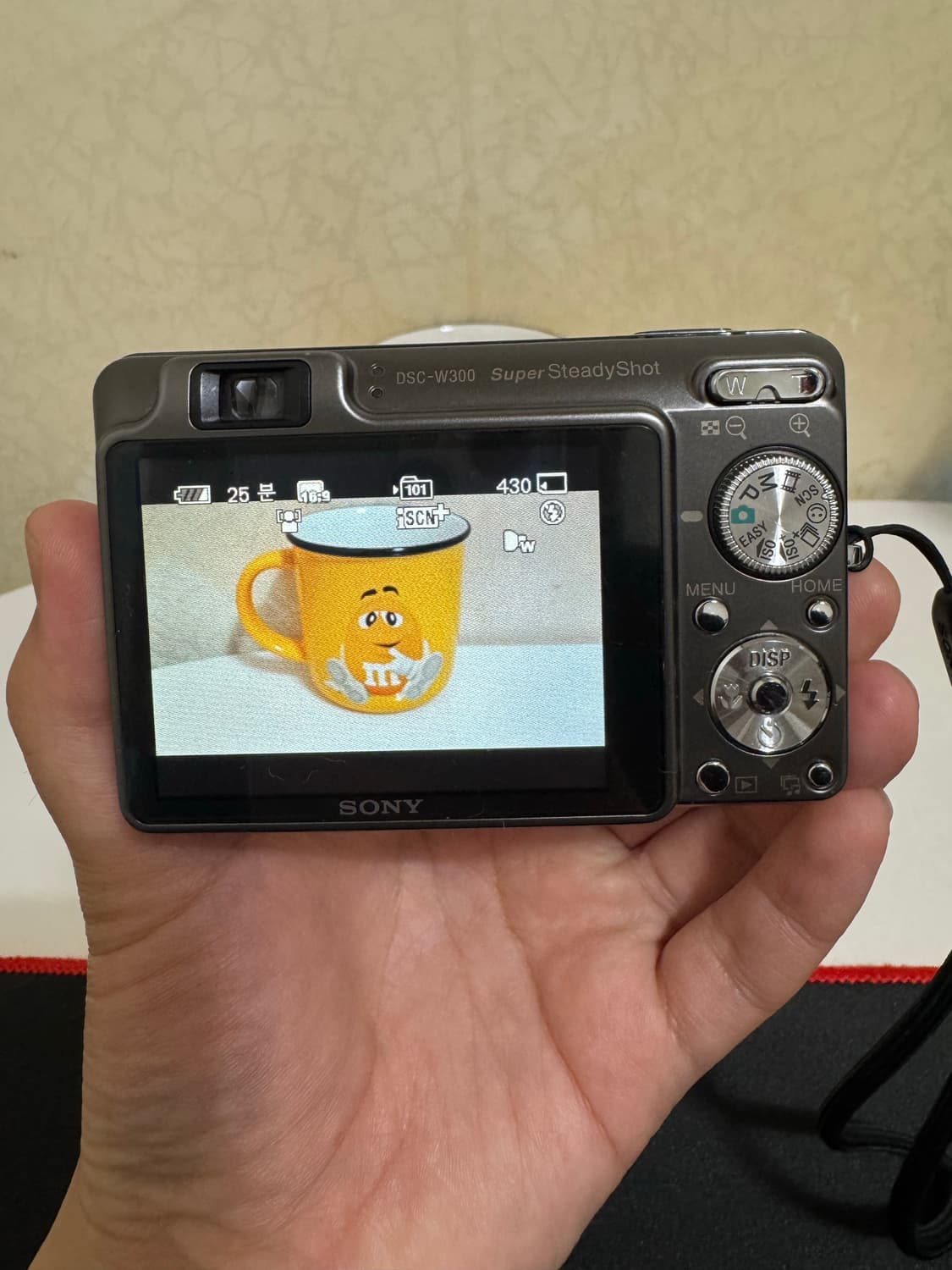 소니 디카 사이버샷 dsc-w300 티타늄에디션 상품이미지2