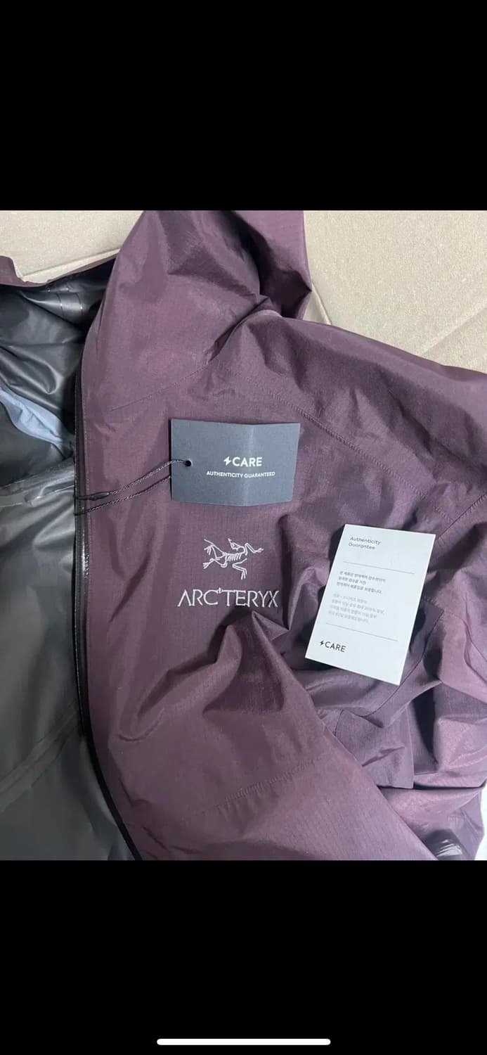 아크테릭스 제타SL 판티즘 L사이즈 김원중 착용 상품이미지2