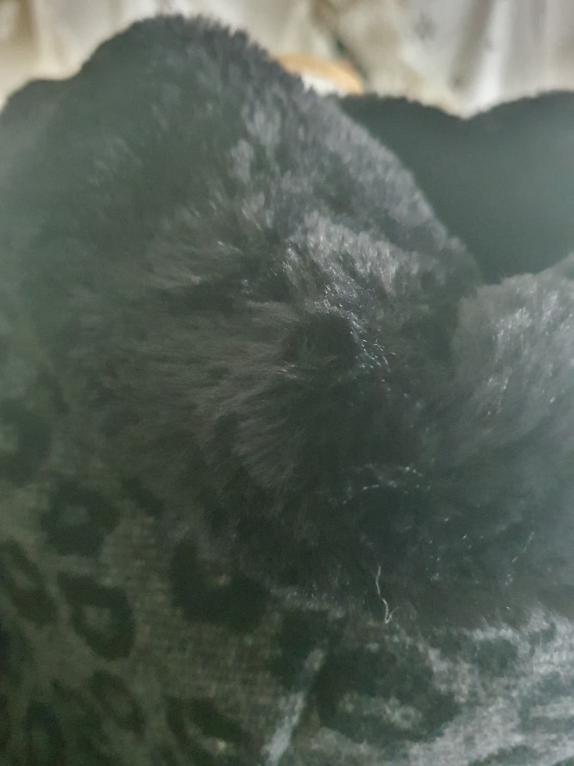 [갸루] 레오파드 퍼 카라 더블 코트 겨울외투 상품이미지4