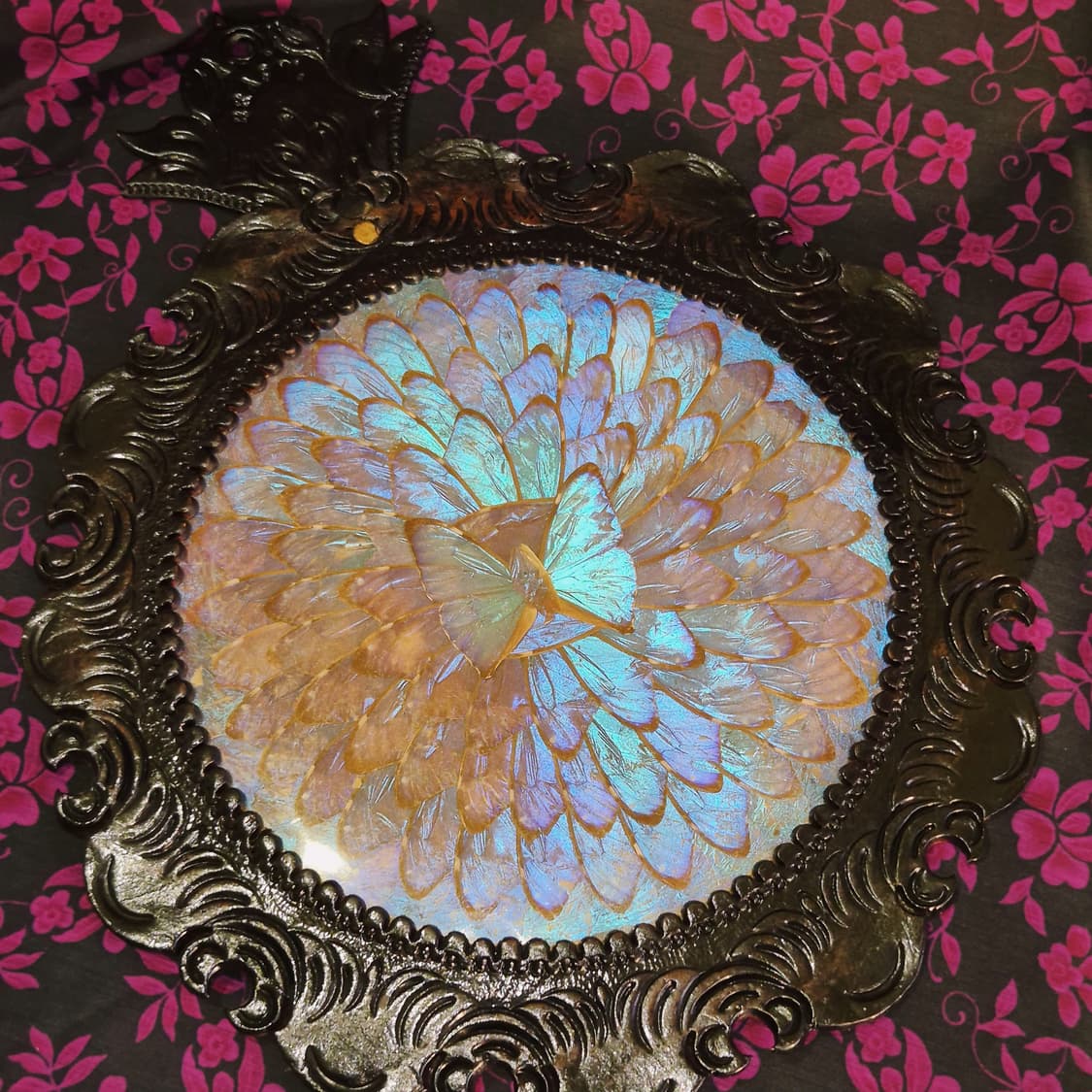 60s 브라질 모르포 나비 레더 아트 대형 벽걸이 상품이미지5