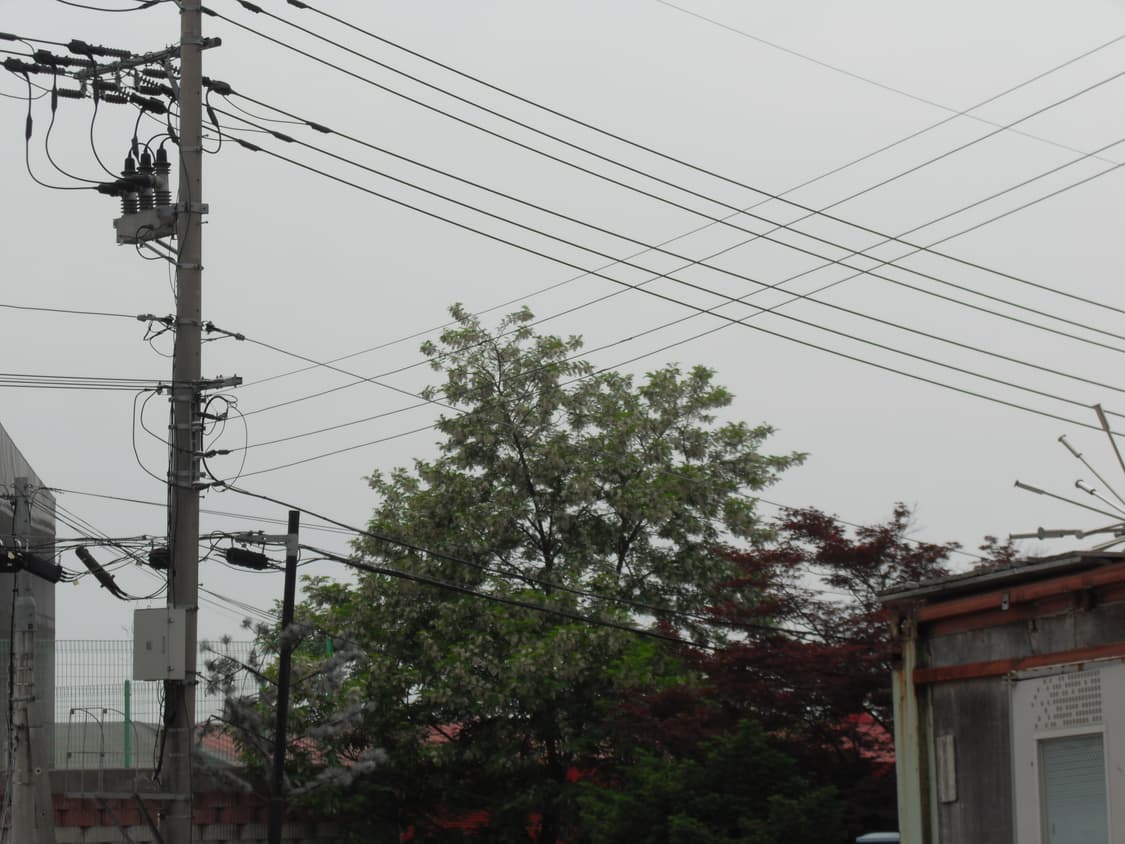 *빈티지디카* 삼성 vluu m300w 상품이미지9