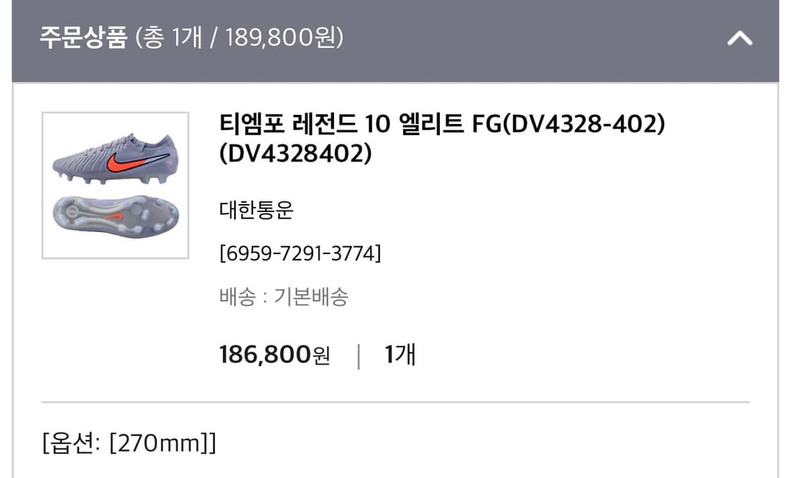 티엠포 레전드 10 엘리트 FG 상품이미지1