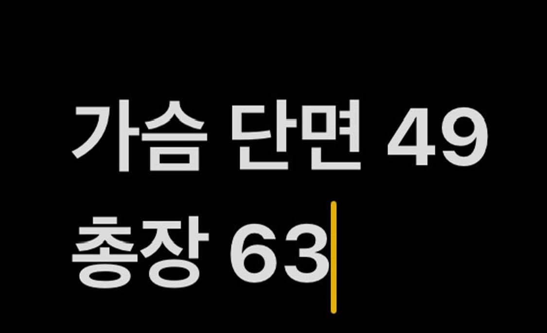 [ 정품/L ] 아디다스 파이어버드 트랙탑 져지 b15 상품이미지10