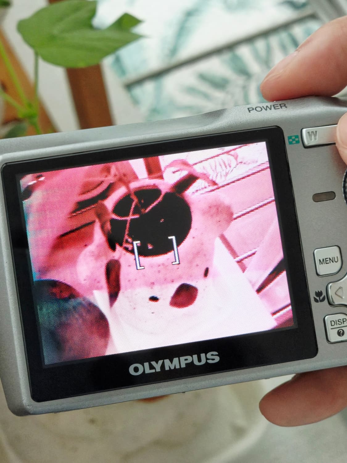 [부품용] 올림푸스 뮤700 블랙 빈티지 디카 상품이미지7