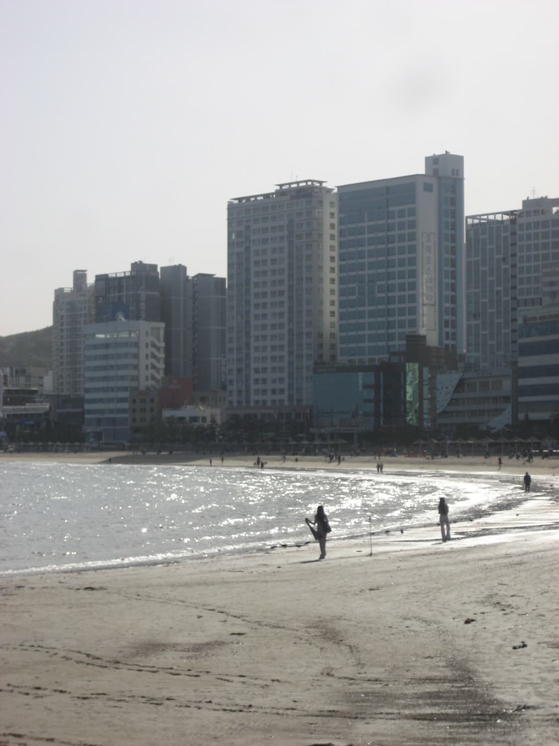 캐논 파워샷 sd600 (익서스 ixus 60) 빈티지 디카 판매 상품이미지6