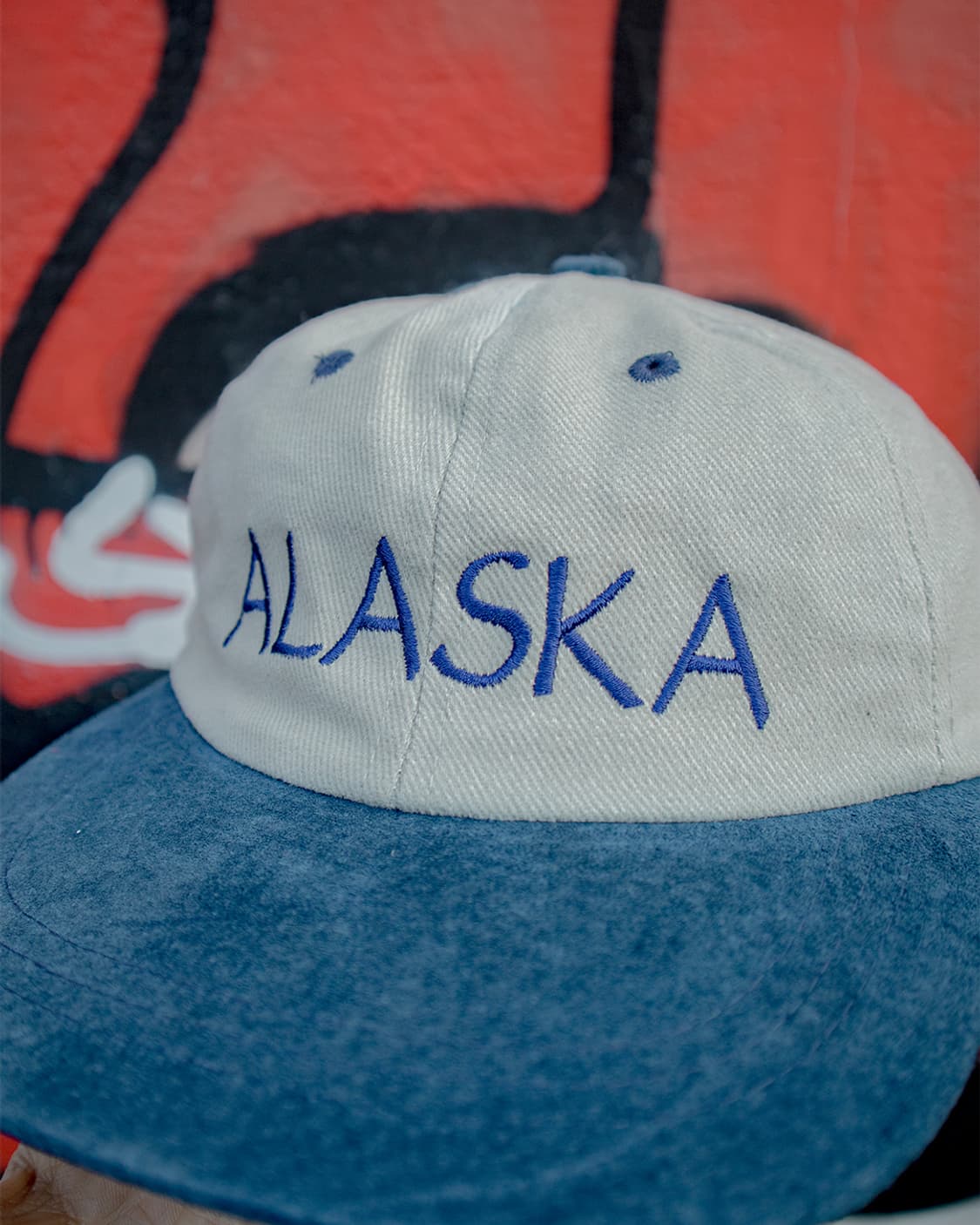 ALASKA two-tone 캡 상품이미지2