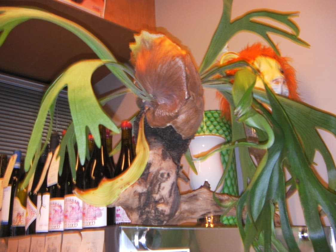 (작례!)Sanyo Xacti  CA100 캠코더 디카 상품이미지3