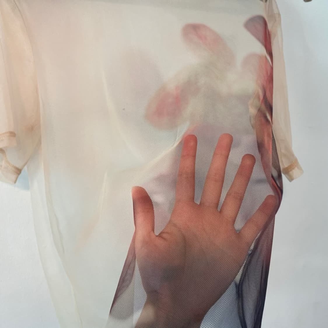 Ameri sheer top 상품이미지5