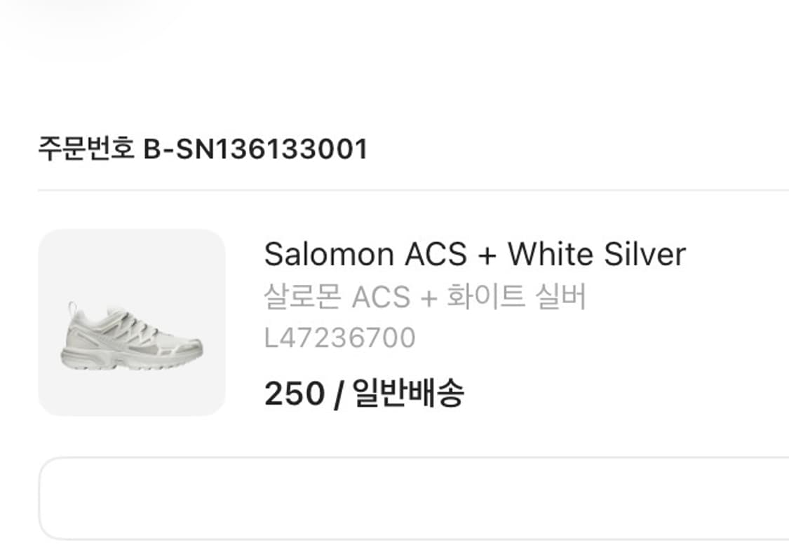 살로몬 acs + 화이트실버 상품이미지2