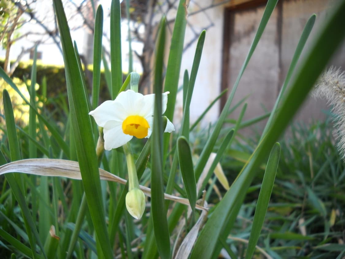 니콘 쿨픽스 Nikon COOLPIX L22 레드 상품이미지2