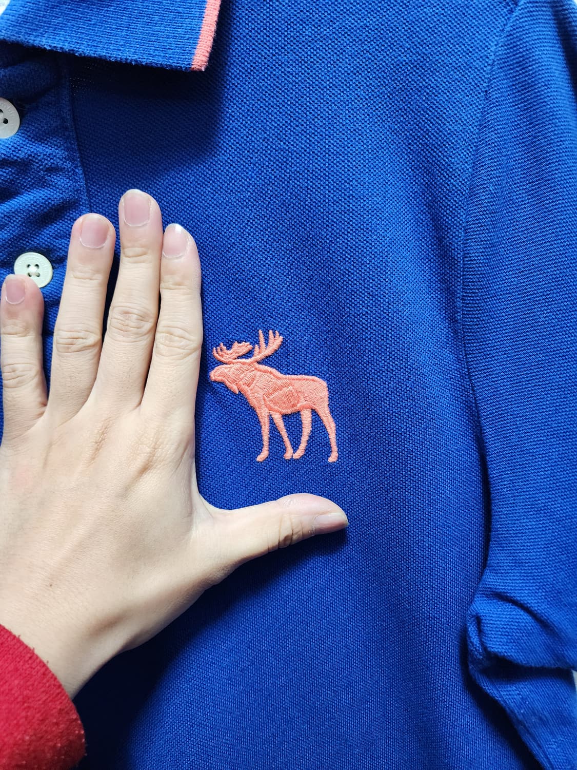 아베크롬비 머슬핏 반팔 폴로티 상품이미지3