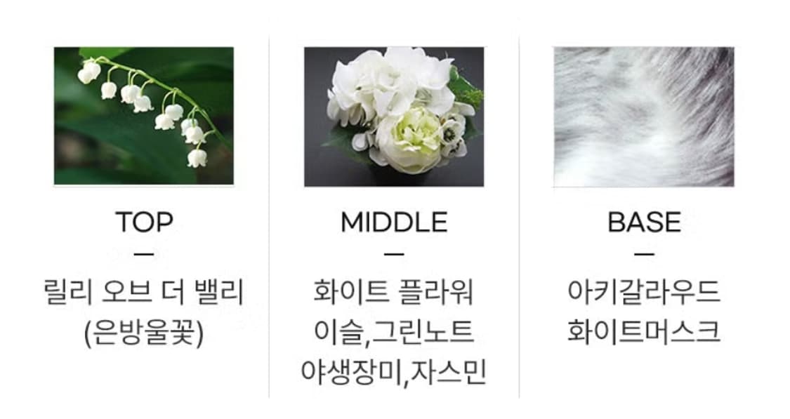 미우미우 로 블루 오드퍼퓸 100ml 상품이미지4