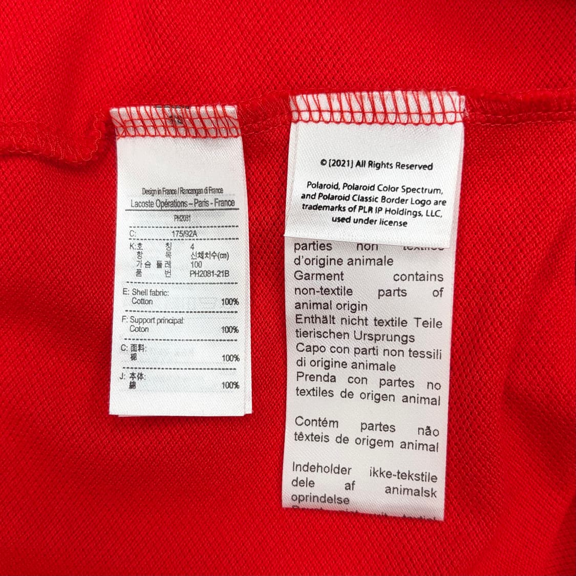 Lacoste x polaroid 라코스테 x 폴라로이드 콜라보 M  상품이미지6