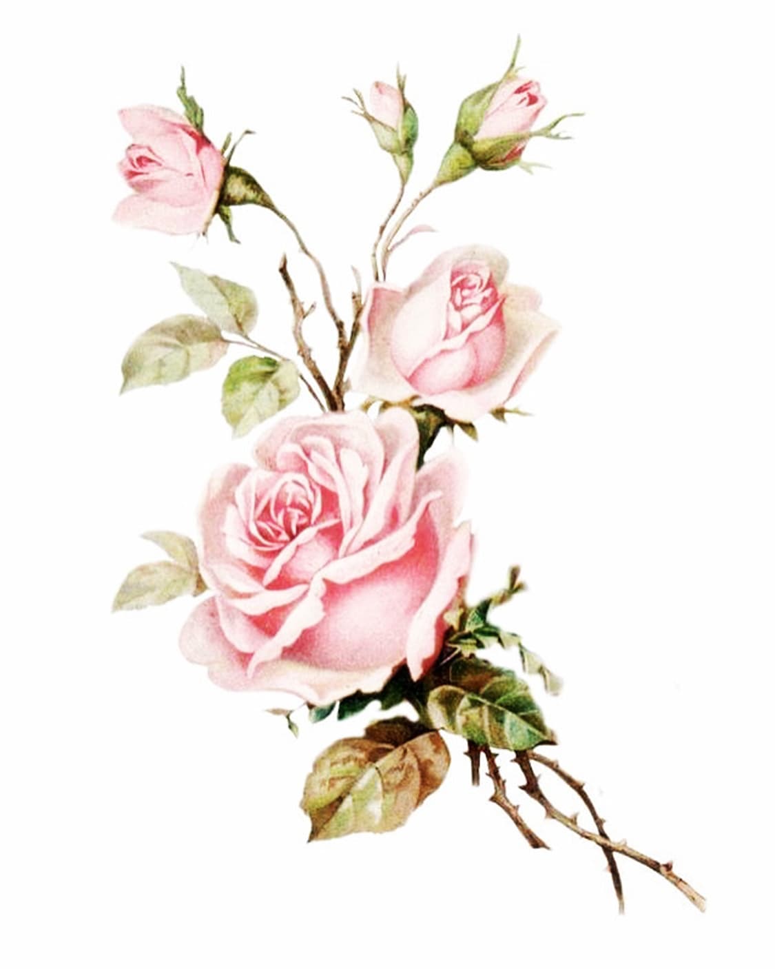 에르메스 화이트 와니 베안 상품이미지1