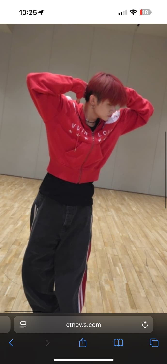 Vain VVIN LOVE hoodie 상품이미지7