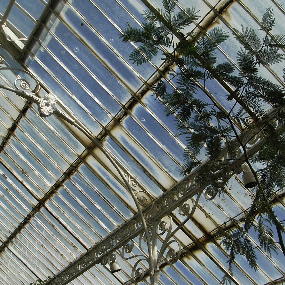 [📸리코감성] RICOH 리코 카프리오 R6 레트로 디지털 카메라 상품이미지9