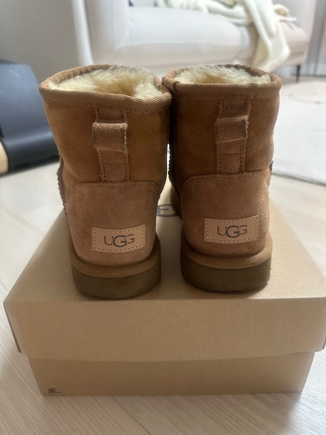 어그 클래식 미니2 체스트넛 240 상품이미지2