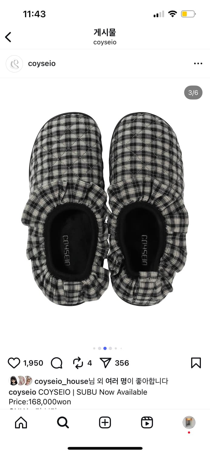 코이세이오 스부 체크 패딩 슈즈 풀구성 (슈케이스 포함) 상품이미지1