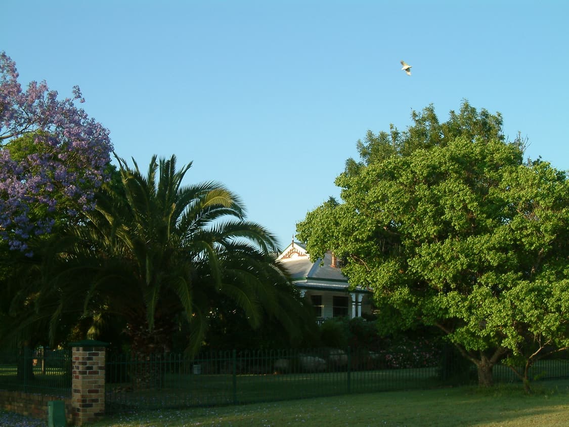 무료배송 Fuji finepix m603 후지 파인픽스 디카 y2k 상품이미지7