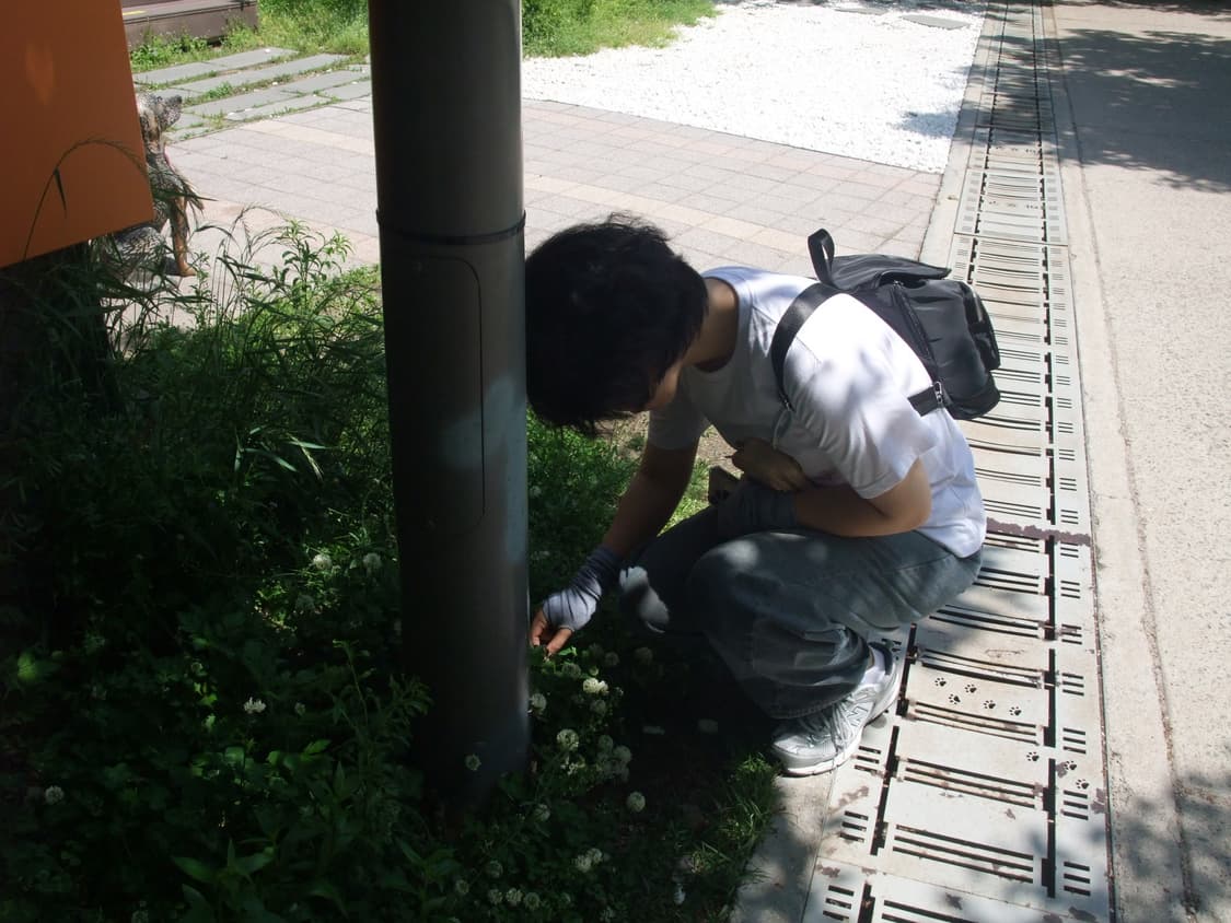 후지필름 파인픽스 f100fd fujifilm finepix 디카 상품이미지9