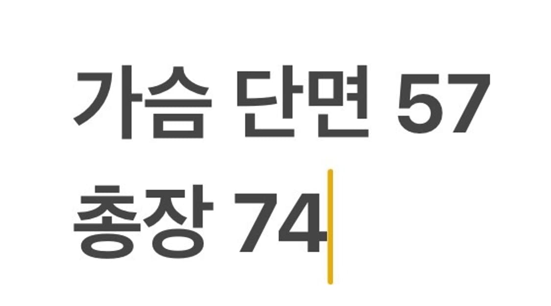 [정품/M] 엔지니어드 가먼츠 베드포드 자켓 b17 상품이미지9