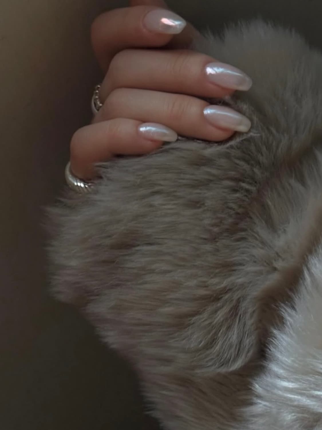 커렌트 퍼자켓 상품이미지4