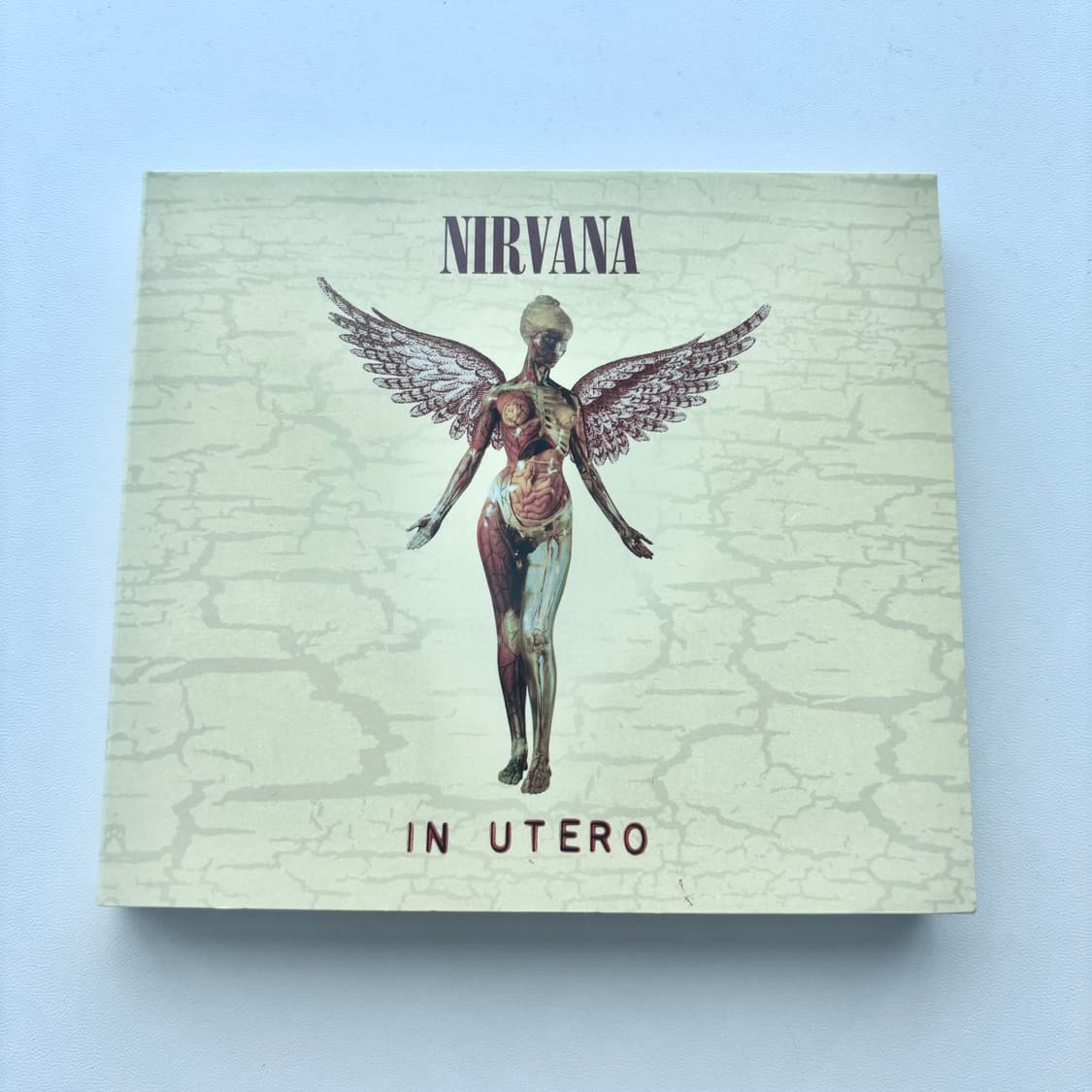 Nirvana (너바나) - In Utero 상품이미지1