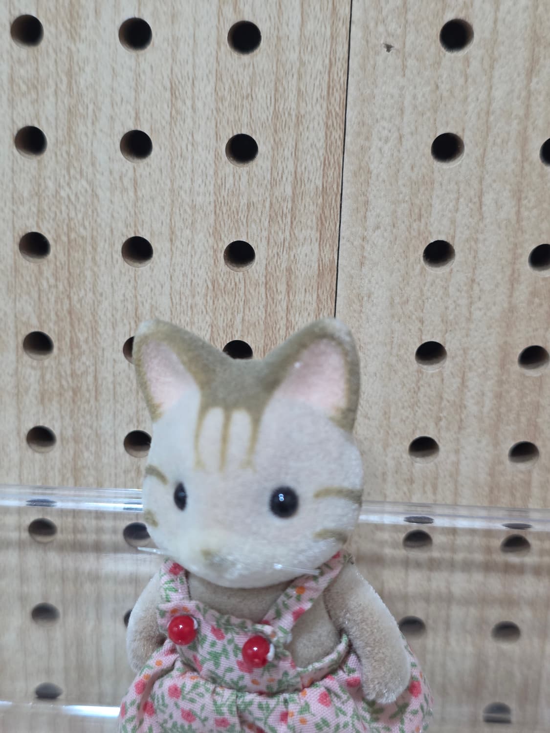 올드 실바니안 줄무늬 고양이 소녀 상품이미지3