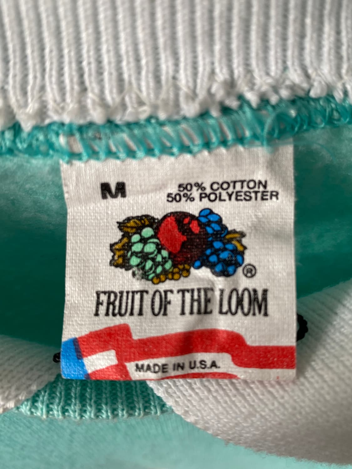 프룻 오브 더 룸 스웻셔츠 (Woman L) AB1749 상품이미지4