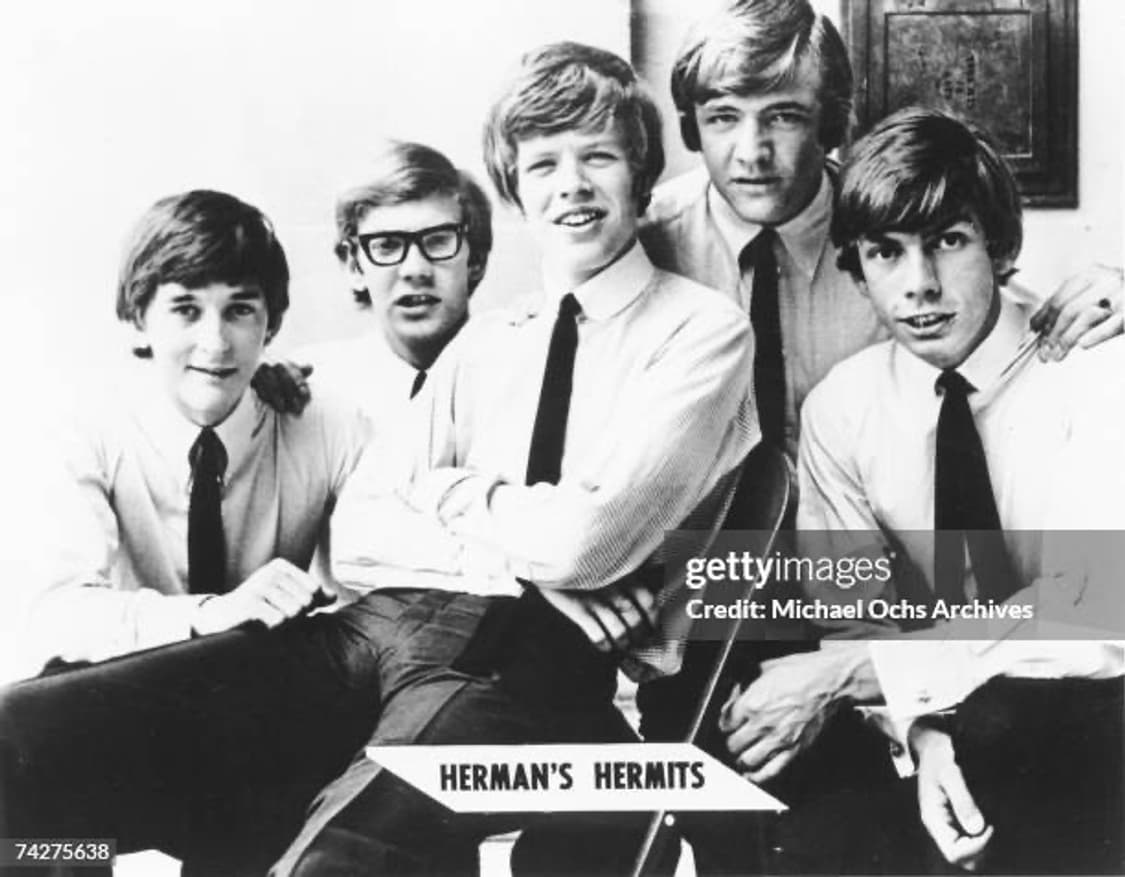 빈티지 00s 허만스 허밋 HERMANS HERMITS 티셔츠 2XL 상품이미지7