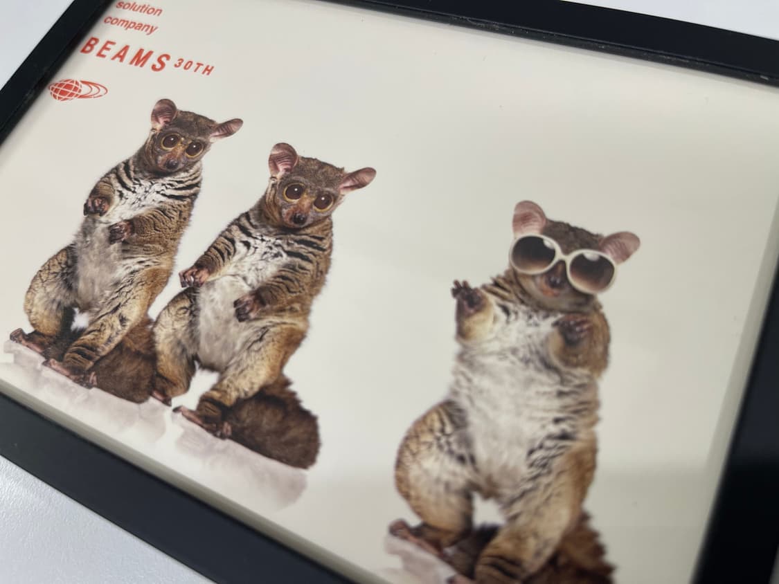 빔즈 30주년 기념 한정 아트 포토 Beams AD2006 상품이미지2