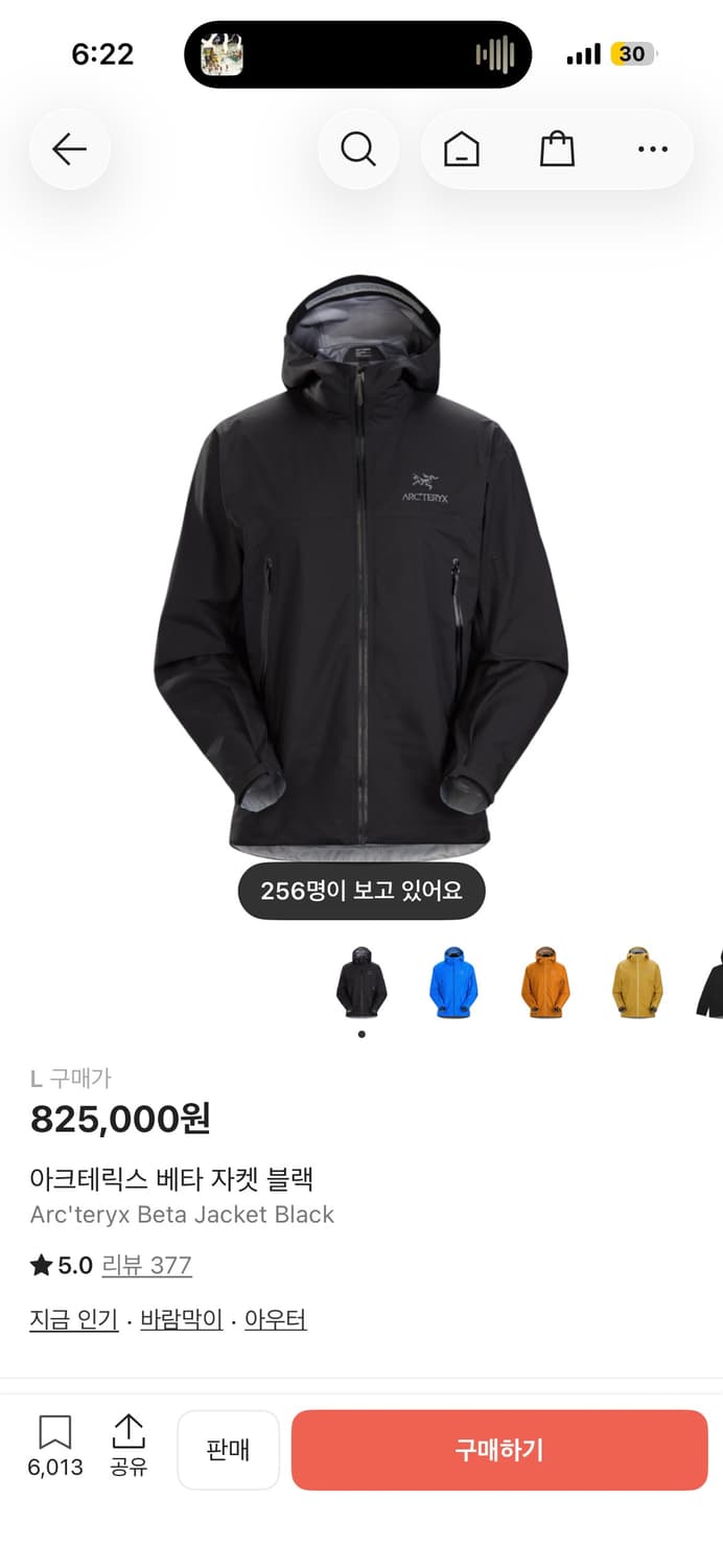 아크테릭스 베타 자켓 L 상품이미지1