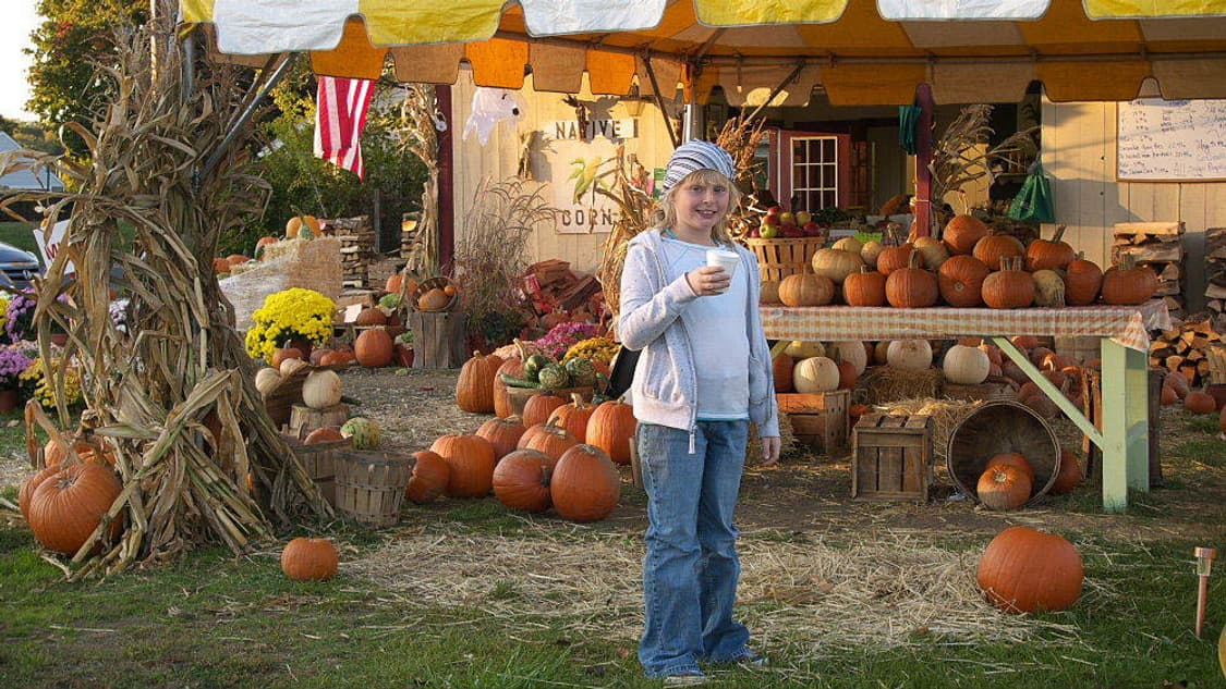 Olympus VH-210 (올림푸스 VH-210) 상품이미지9