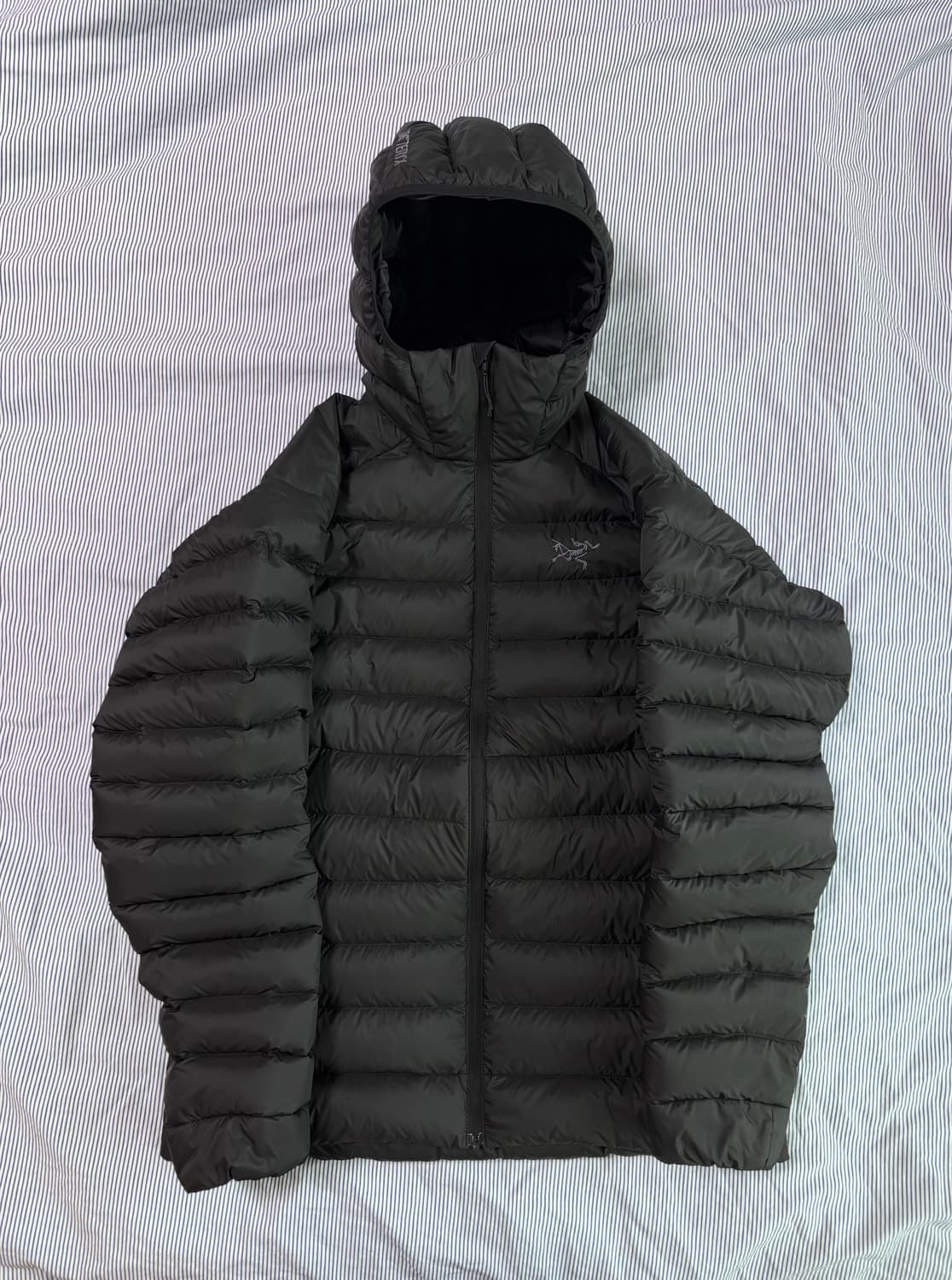 (SS급,택보유) 아크테릭스 세륨 후디 블랙 상품이미지1