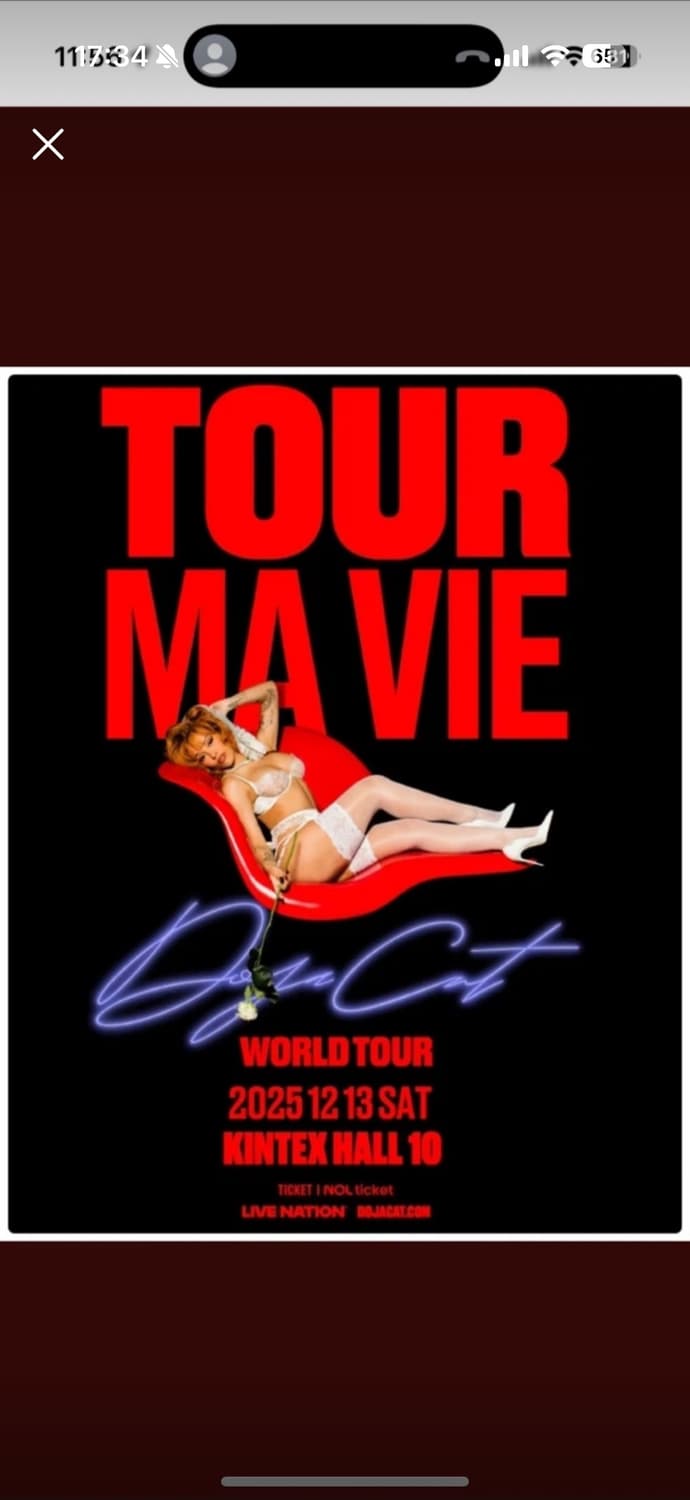 도자캣 내한 vip 티켓  상품이미지1