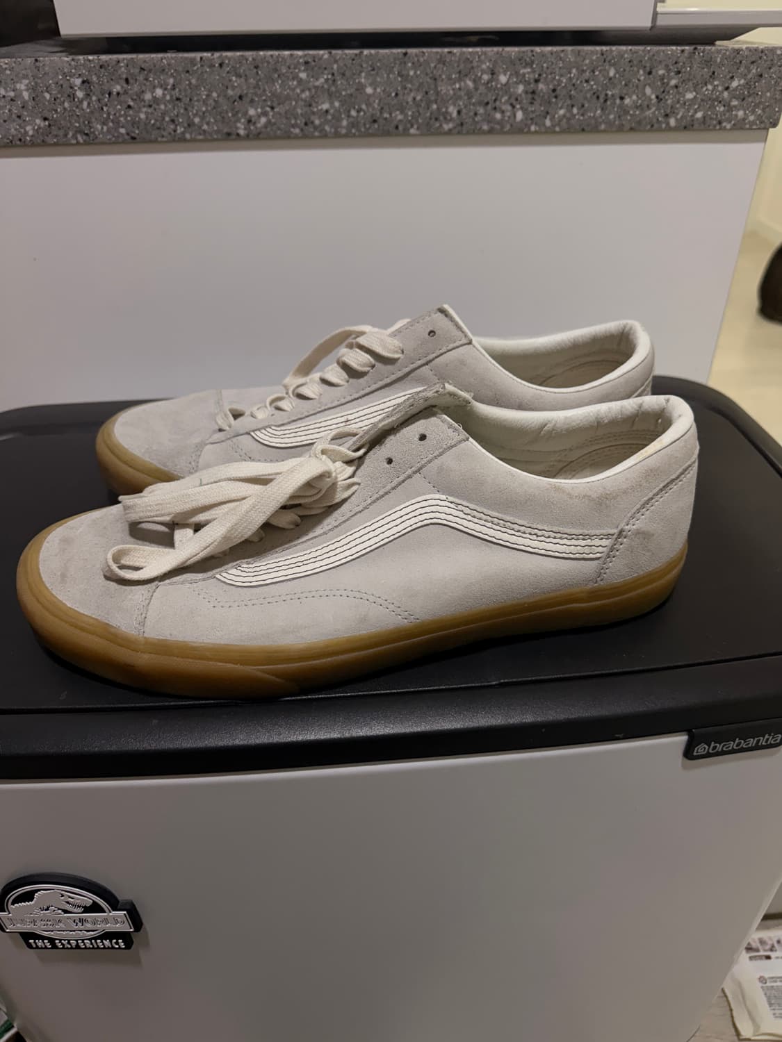 반스 스타일36 피그스웨이드300 상품이미지2