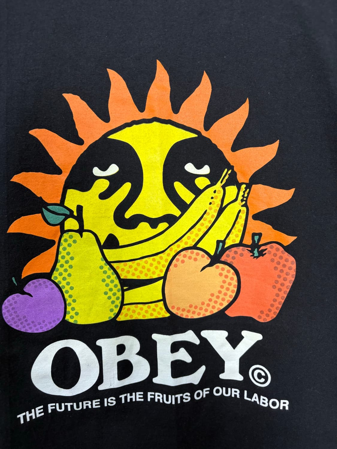 오베이 후르츠오브 아워 레이버 클래식 블랙 반팔 A3427 상품이미지5