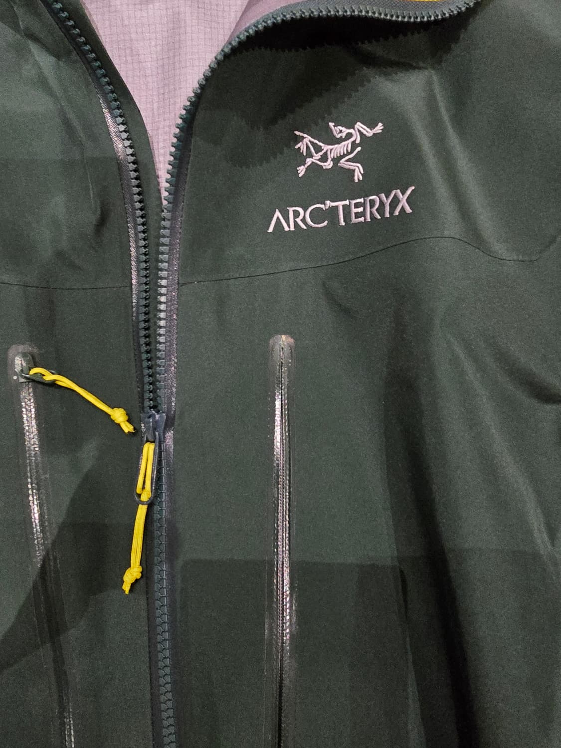 아크테릭스 알파 SV 고어텍스 프로 자켓 상품이미지3