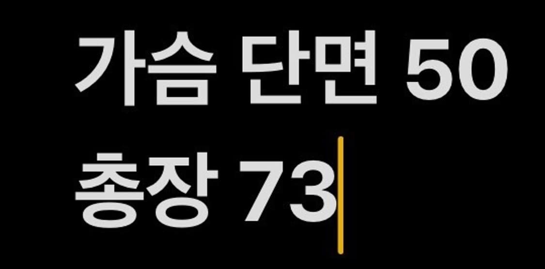 [정품/95] 롯데자이언츠 네포스 핑크스트라이프 유니폼 b15 상품이미지6