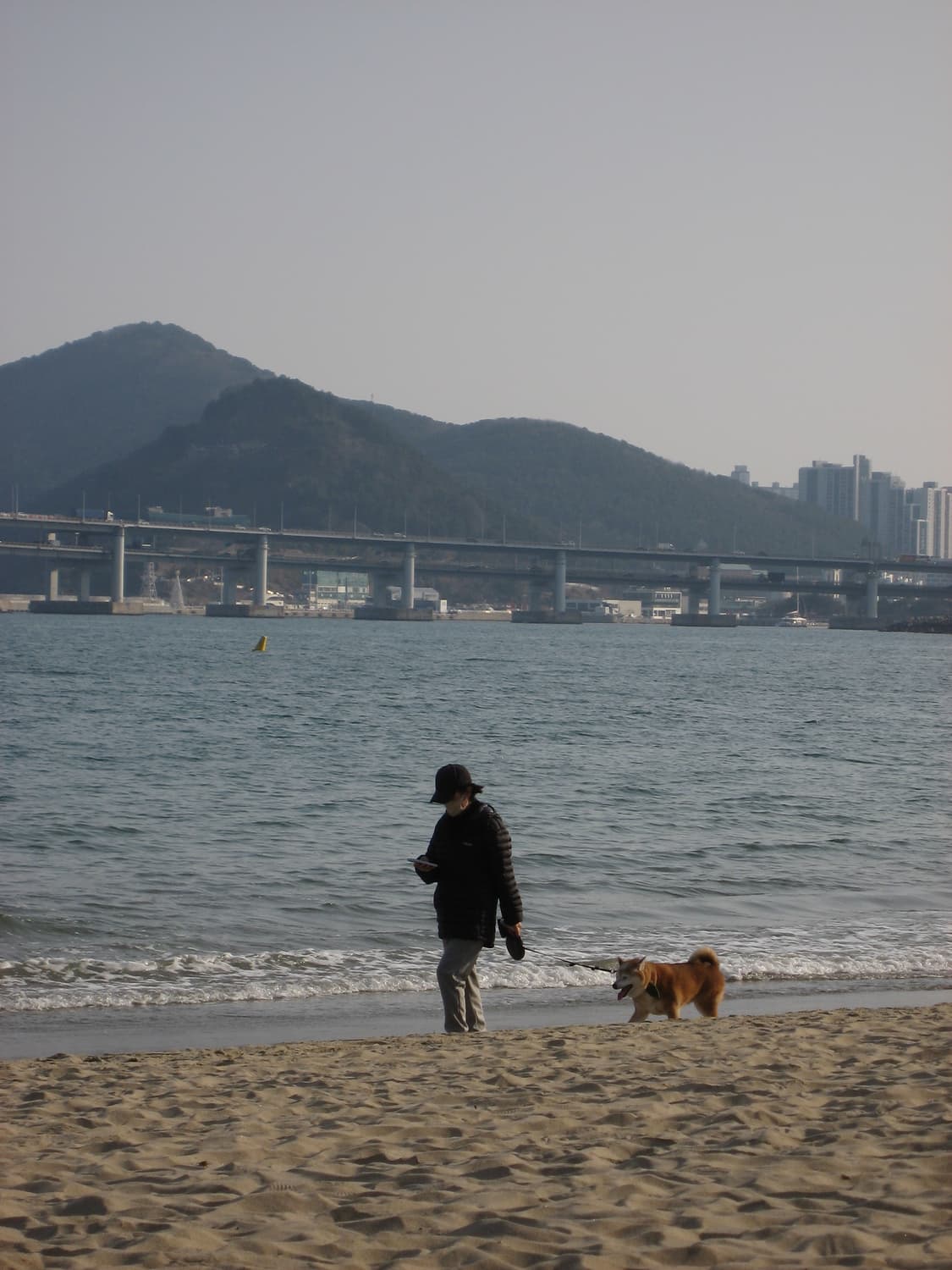 (인물/뽀용)Canon IXY 800 IS 캐논 익서스 IXUS 800 상품이미지6