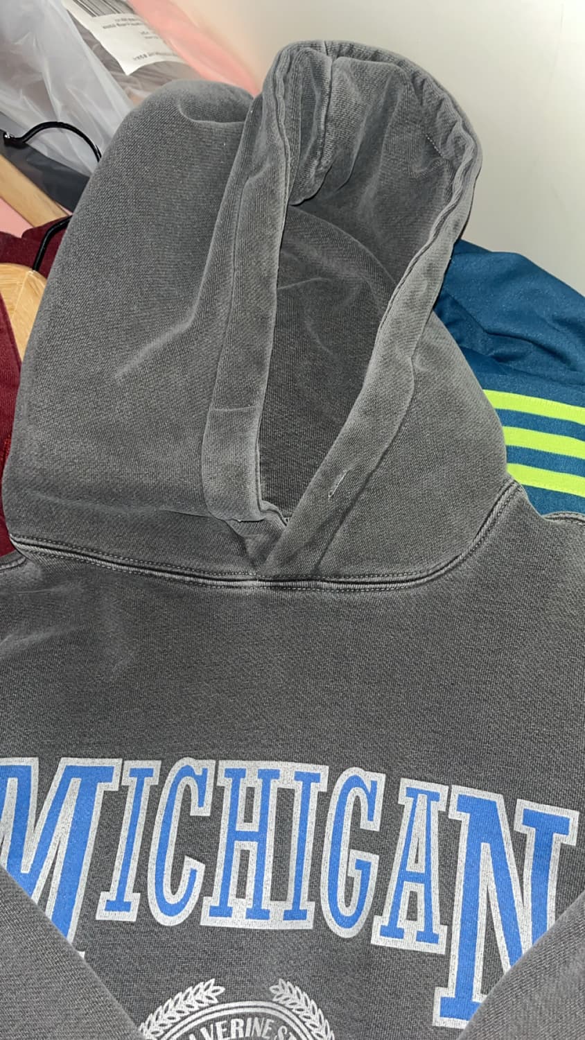 트래블 미시칸 후드티 상품이미지3